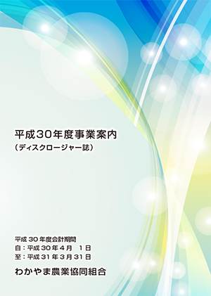 平成３０年度事業案内（ディスクロージャー誌）