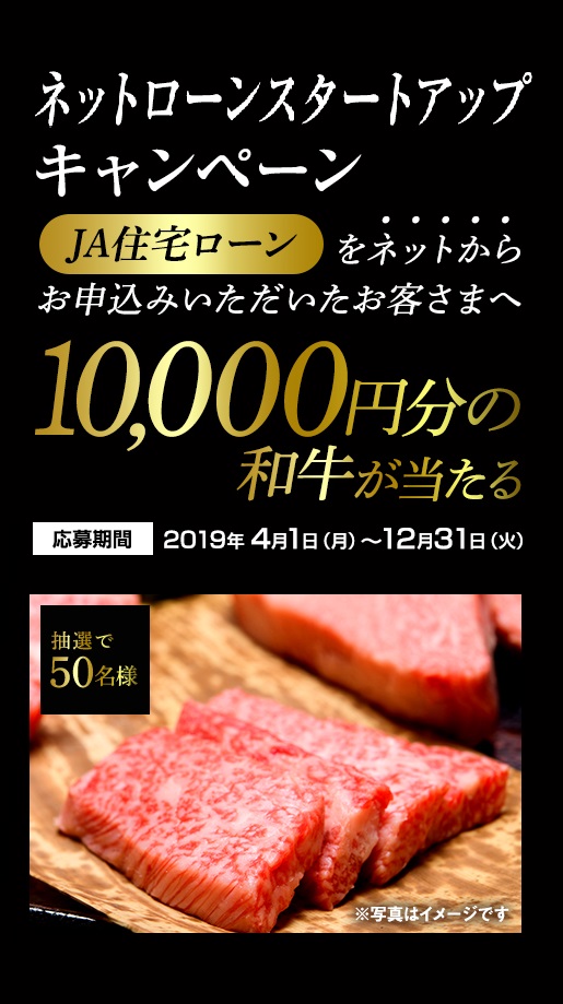 ネットローンスタートアップキャンペーン